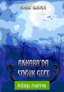 Ankara’da Soğuk Gece