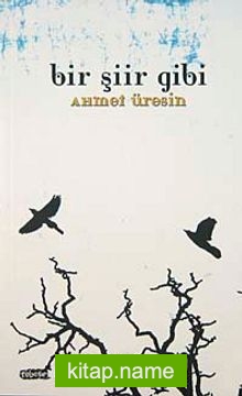 Bir Şiir Gibi