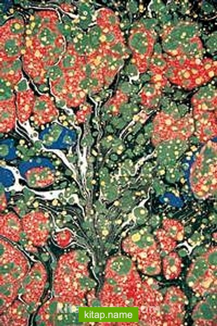 İsimsiz / Tüzin Tiryaki (TTU 012-50×75) (Çerçevesiz)