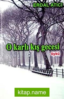 O Karlı Kış Gecesi