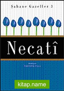 Şahane Gazeller 3 / Necati