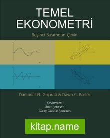 Temel Ekonometri