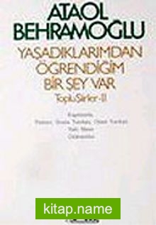 Yaşadıklarımdan Öğrendiğim Birşey Vay/Toplu Şiirler II