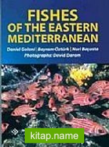Fishes Of The Eastern Mediterranean