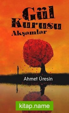 Gül Kurusu Akşamlar