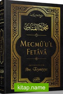 Mecmu’u’l Fetava (6. Cilt)