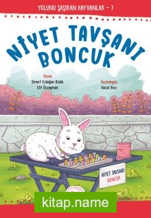 Niyet Tavşanı Boncuk