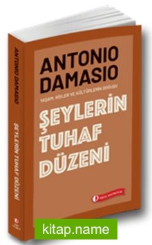 Şeylerin Tuhaf Düzeni