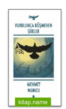 Vurulunca Düşmeyen Şiirler